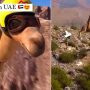 Computer-generated video of camel ziplining goes viral
