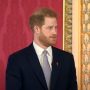 Prince Harry clowns around in Singapore without royal protocol