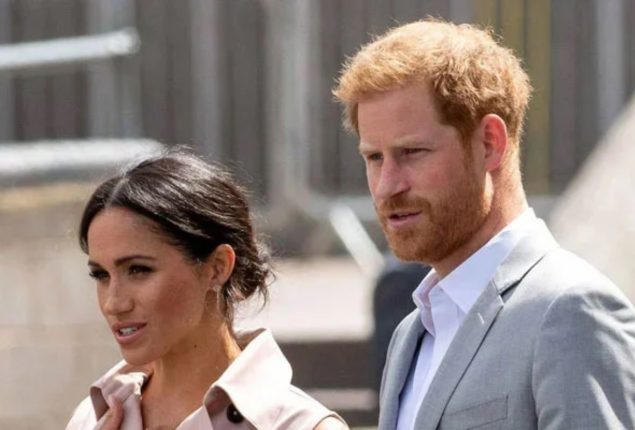 Prince Harry documentary won’t take off as charity won’t translate into sales