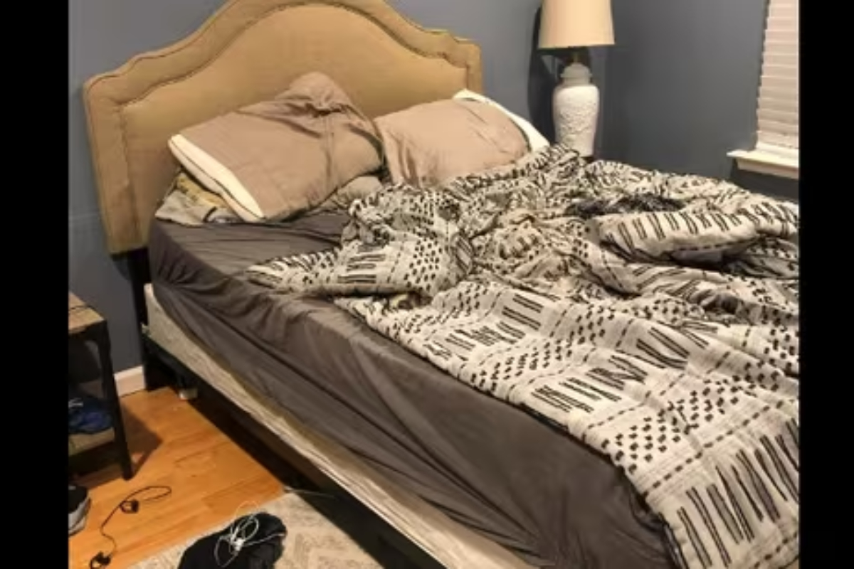 Where's the dog? This optical illusion is driving people crazy!