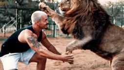 Netizens stunned by Man and lion bond with each other