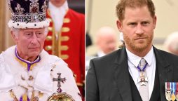 Prince Harry’s peace talks without Meghan Markle drew ire of King Charles