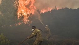 Wildfires raging Europe migrants