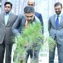 PM Kakar launches monsoon tree plantation campaign
