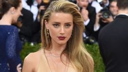 Amber Heard will not be charged for Illegal Import of 2 Dogs