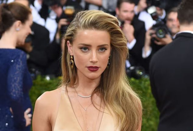 Amber Heard will not be charged for Illegal Import of 2 Dogs