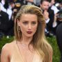 Amber Heard will not be charged for Illegal Import of 2 Dogs