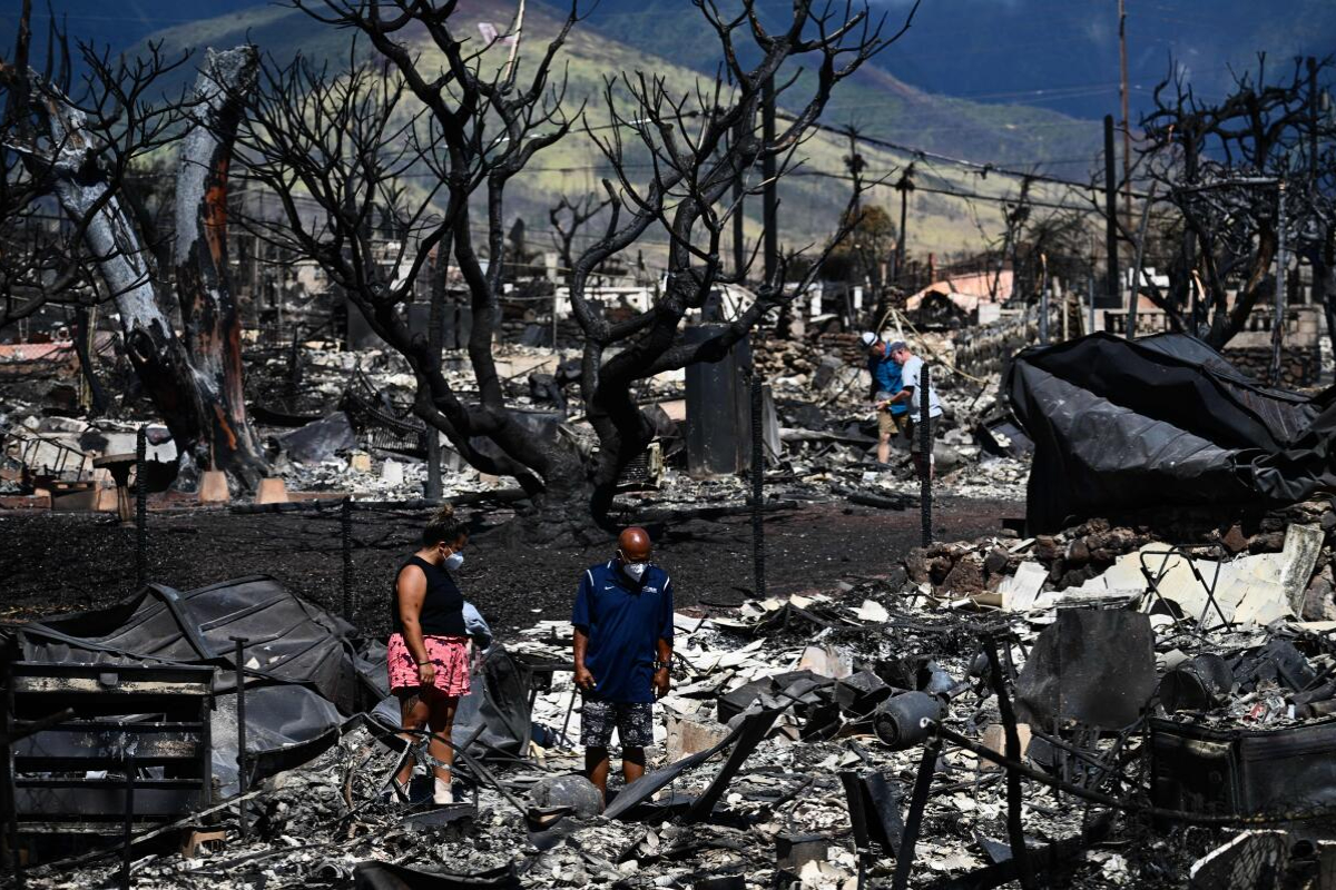 fire survivors Lahaina Hawaii