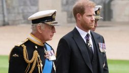 Prince Harry allegedly had no desire to see King Charles