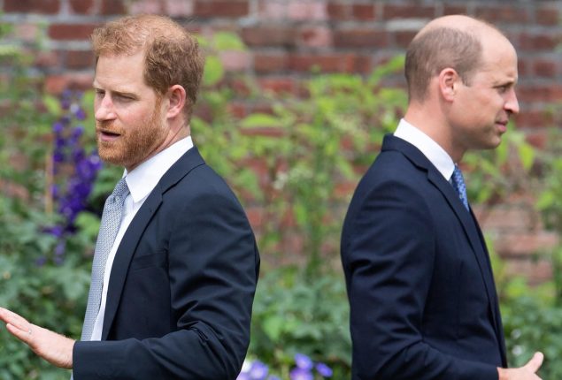 Prince Harry at his lowest point due to lodging issue