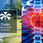 AI-Powered Tool Could Revolutionize Heart Disease Diagnosis
