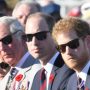 Harry can’t be part-time royal as Charles won’t go against mother