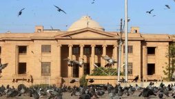 Elderly man approaches SHC for possession of home