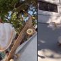 Young Girl’s Skating Video in Traditional Attire Delights Internet