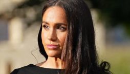 Meghan Markle criticized for trying to climb greasy pole
