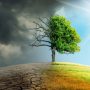 KU workshop urges to address climate-related challenges