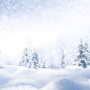 Optical Illusion Challenge: Spot The Polar Bear In 8 Seconds!