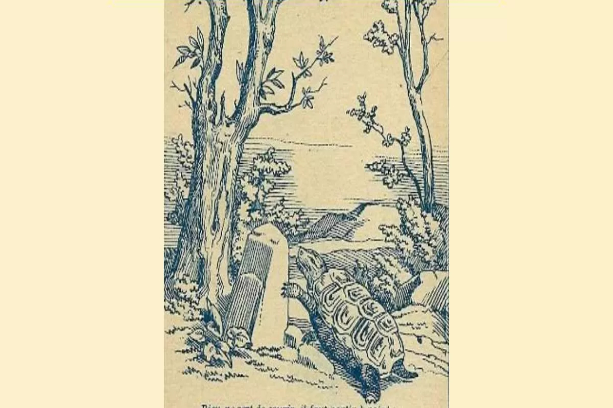 Optical Illusion Test
