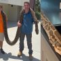 World Record: Giant Burmese Python Caught in Florida