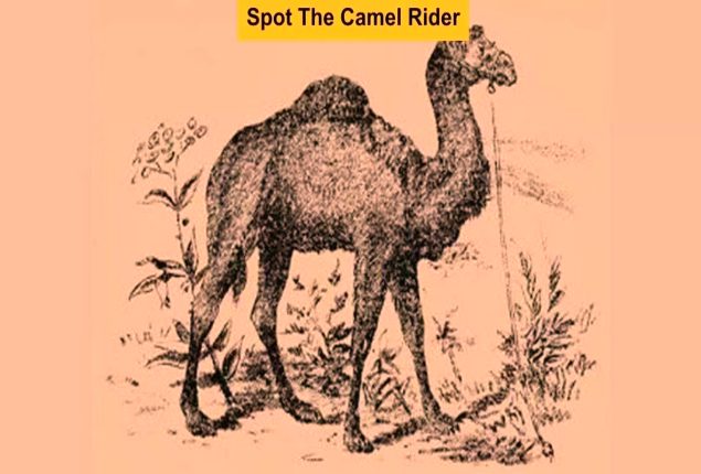 Optical Illusion: Spot The Camel Rider In 15 Seconds!