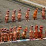 T. Rexes Dash to Photo Finish at Washington Track
