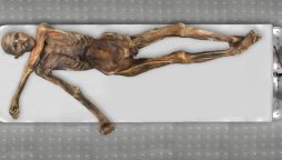 Oetzi the Iceman’s DNA Traced to Modern-Day Turkey