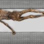 Oetzi the Iceman’s DNA Traced to Modern-Day Turkey
