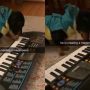 Dog’s ‘Musical Masterpiece’ Gains Popularity as Ringtone Choice