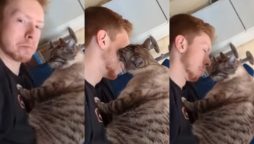 Watch: Man's Cat Gives Him a Kiss