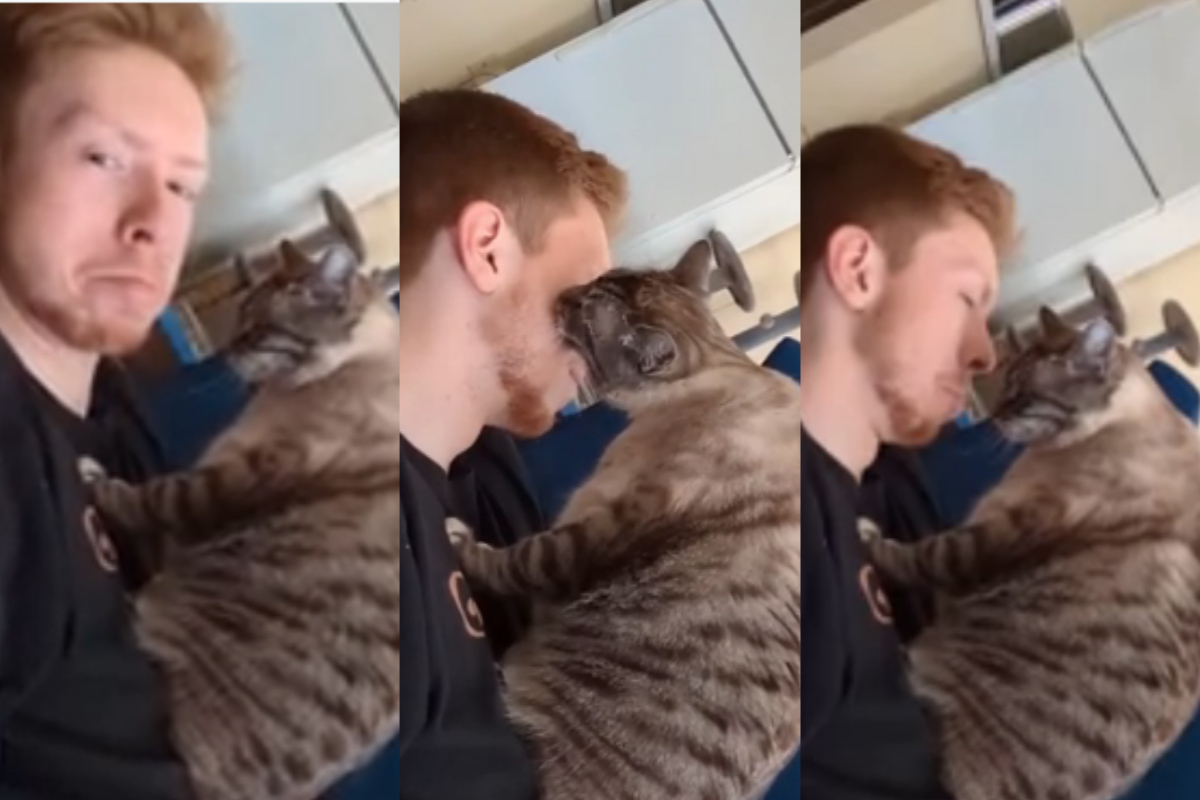 Watch: Man's Cat Gives Him a Kiss