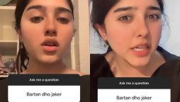 Pak Influencer’s Epic Response to Dishwashing Troll Goes Viral