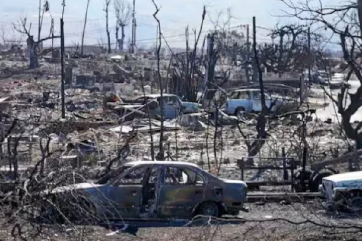 Stranger's Kindness Rescues Woman's Sole Photo Amidst Maui Fire Loss