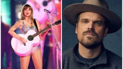 Taylor Swift’s Concert Leaves David Harbour Speechless
