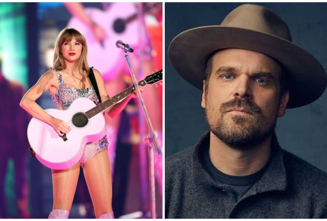Taylor Swift’s Concert Leaves David Harbour Speechless