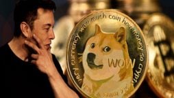 Doge Price Prediction