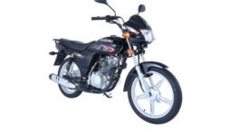 Suzuki GD110s