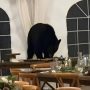 Bear Crashes Wedding and Targets Dessert Bar