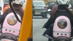 Unforgettable Bengaluru: Woman’s Scooter Adventure with Pet Cat