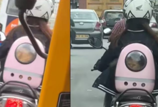 Unforgettable Bengaluru: Woman's Scooter Adventure with Pet Cat