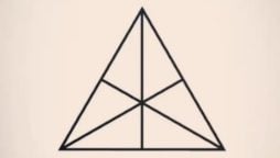 Can You Count All the Triangles in This Image?