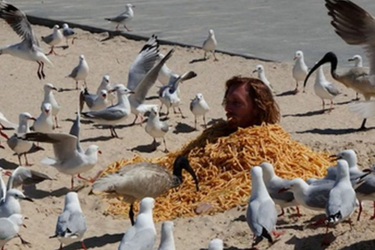 Man Escapes Seagull Chase While Eating Chips
