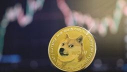 Doge Price Prediction
