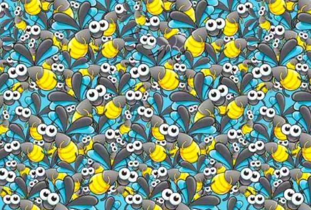 Optical Illusion Test: Find the Hidden Ant Among the Bees?