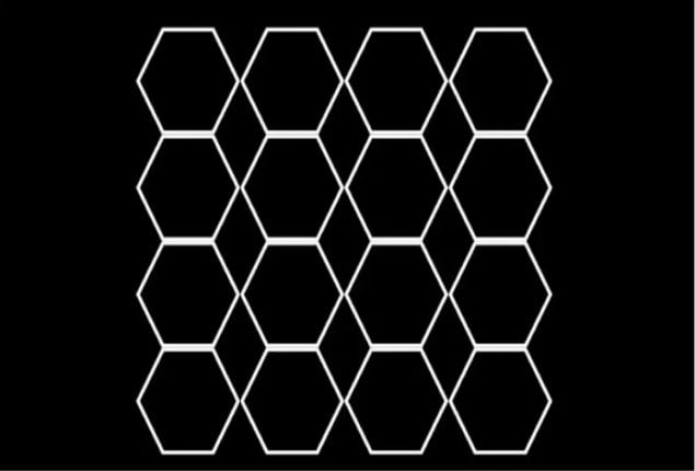 Visual Test: How many hexagons do you see in this picture?