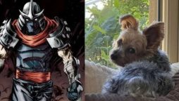 Heartbroken Ethan Klein Mourns Death of Dog Shredder