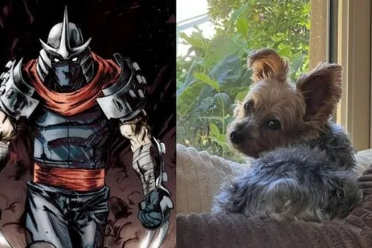 Heartbroken Ethan Klein Mourns Death of Dog Shredder
