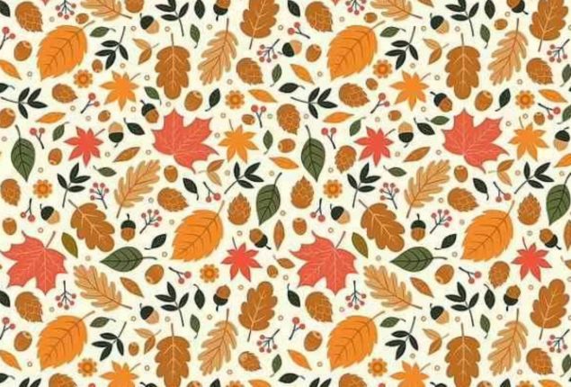 Optical Illusion Test: Can you spot hedgehog in this optical illusion?