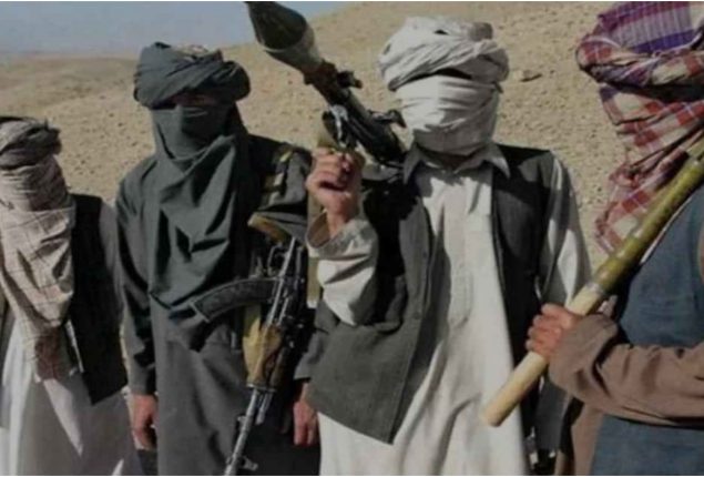 TTP remains a threat in conflict zones, neighbouring states: UNSC told