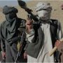 TTP remains a threat in conflict zones, neighbouring states: UNSC told