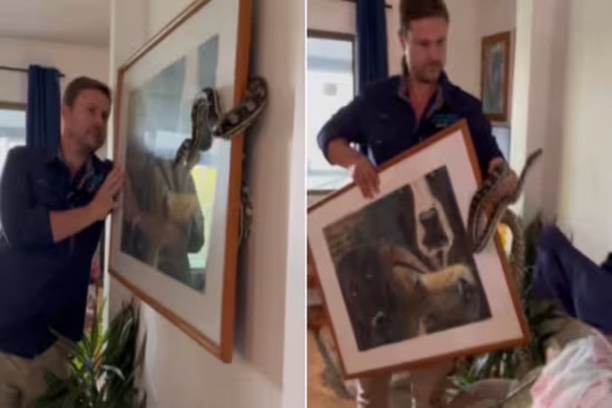 Man Rescues Snake